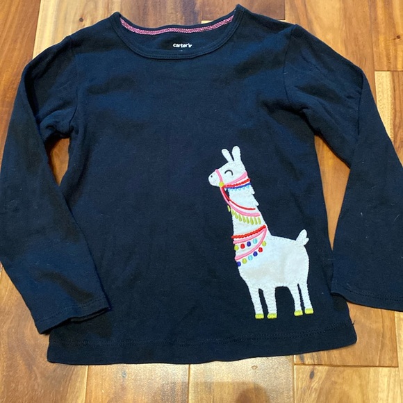 Girl’s Size 2 Long-sleeve T-shirts Bundle: Carter’s Llama & Children’s Place Owl - Picture 7 of 9